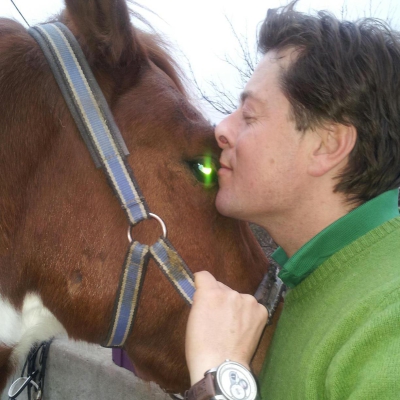 Jumping horse with back problem