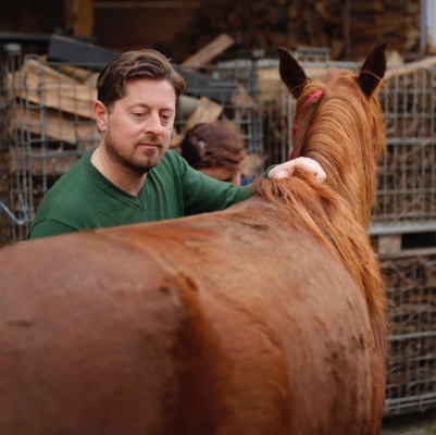 Jumping horse with tendon problem